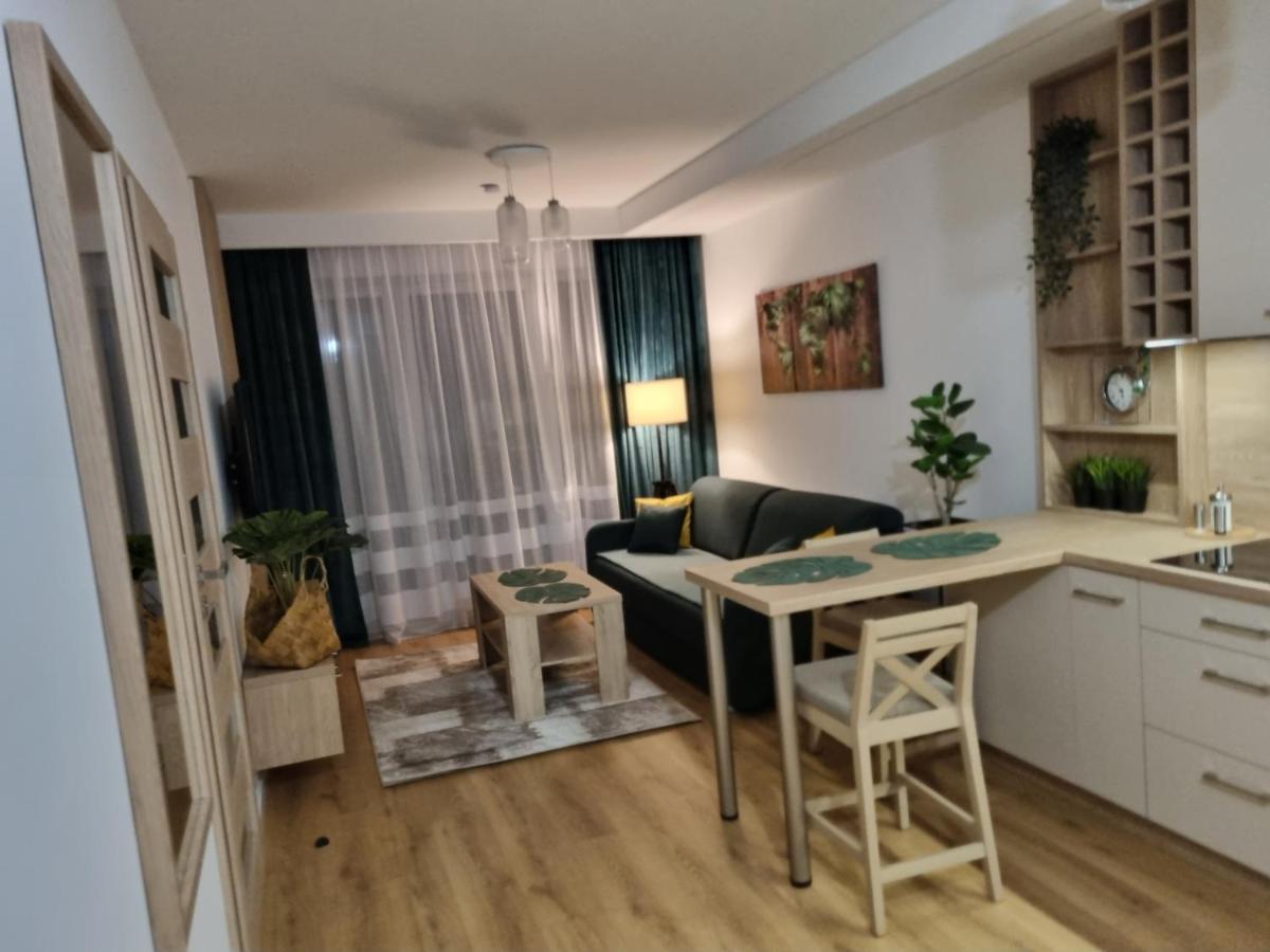 Sloneczny -sciegiennego Apartment Kielce